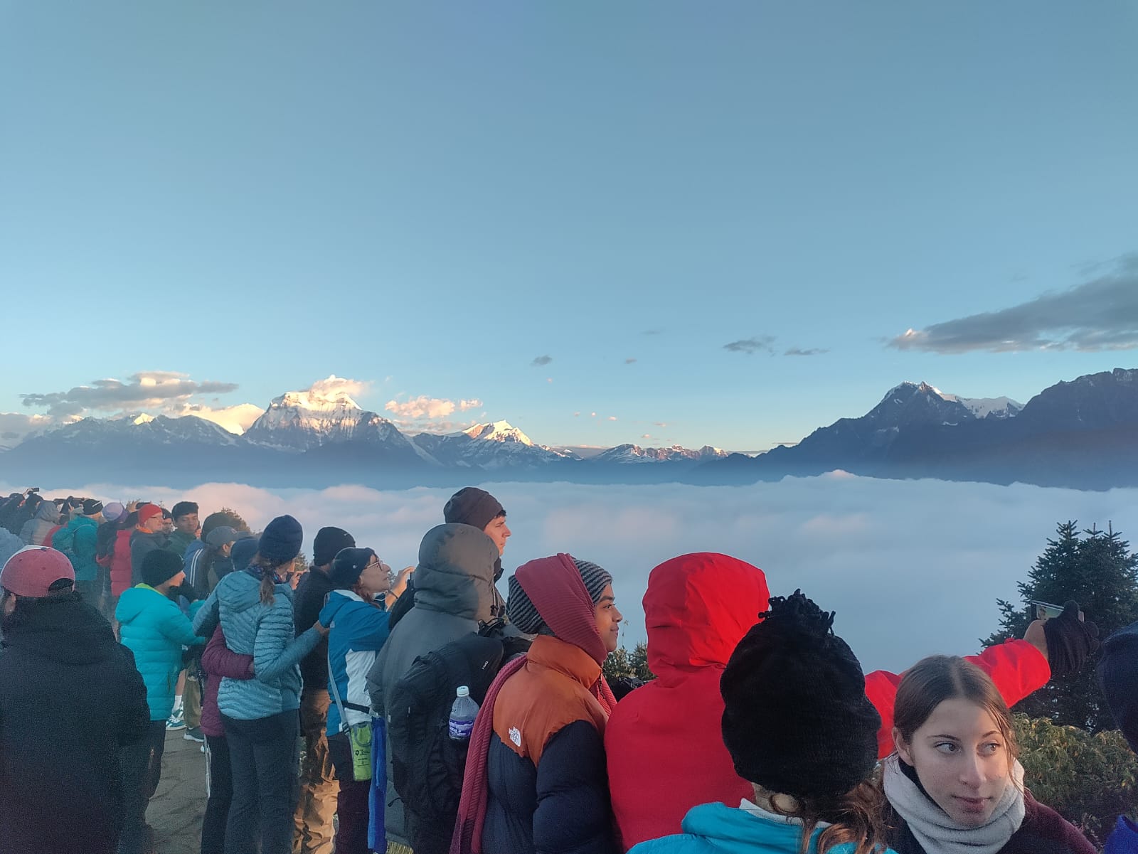 Ghorepani Poon Hill Trek